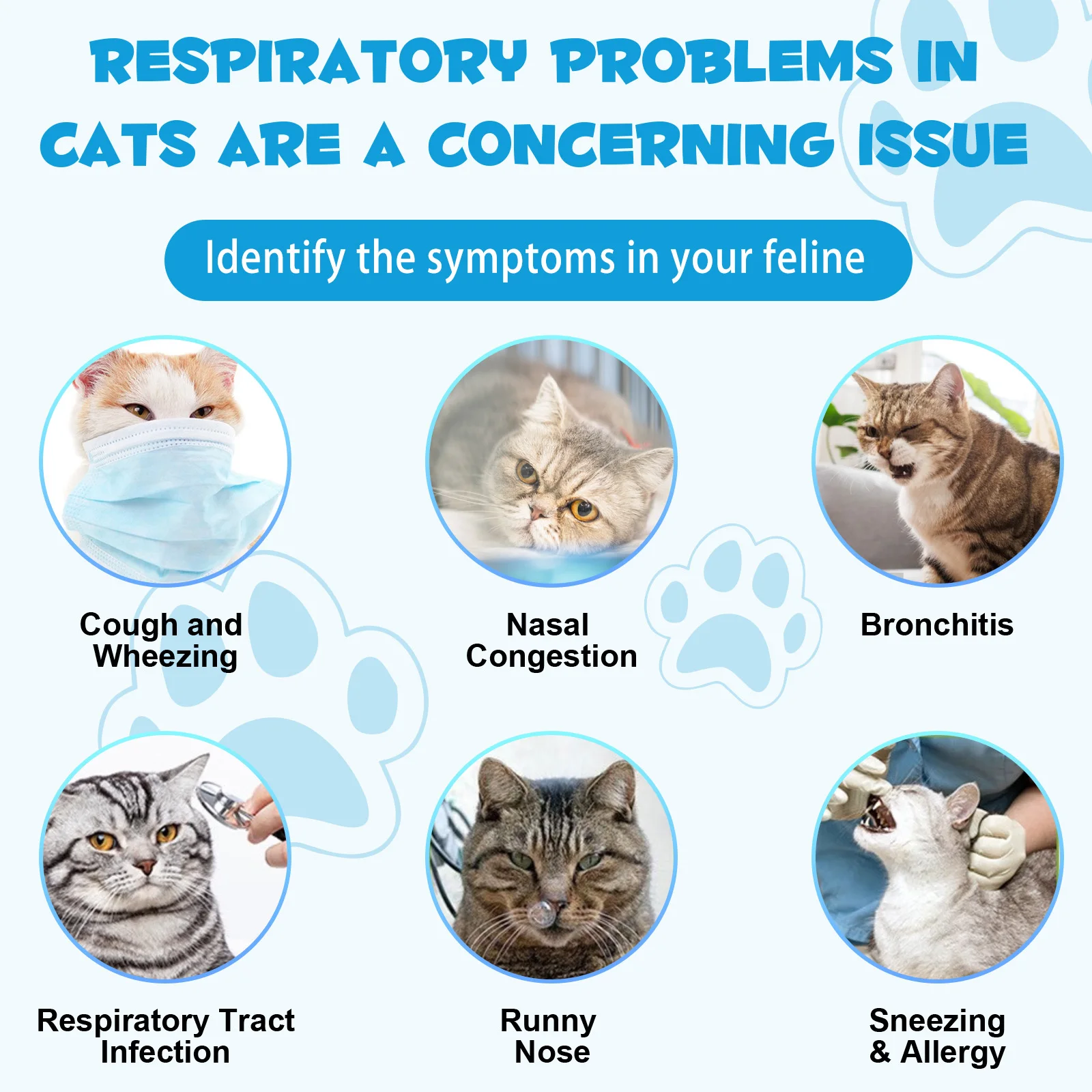 Oimmal® - Kennel Cough Drops For Cats