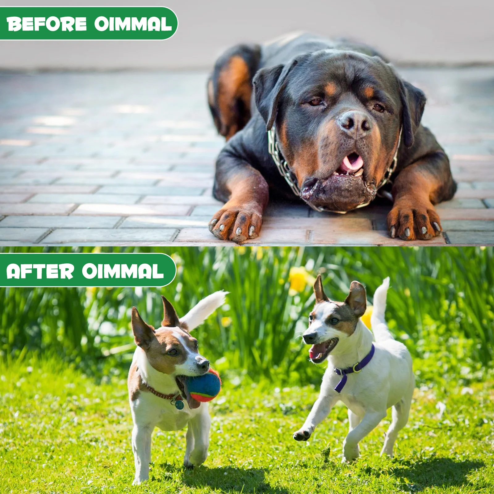 Oimmal® - Herbal De-Wormer Drops for Dogs