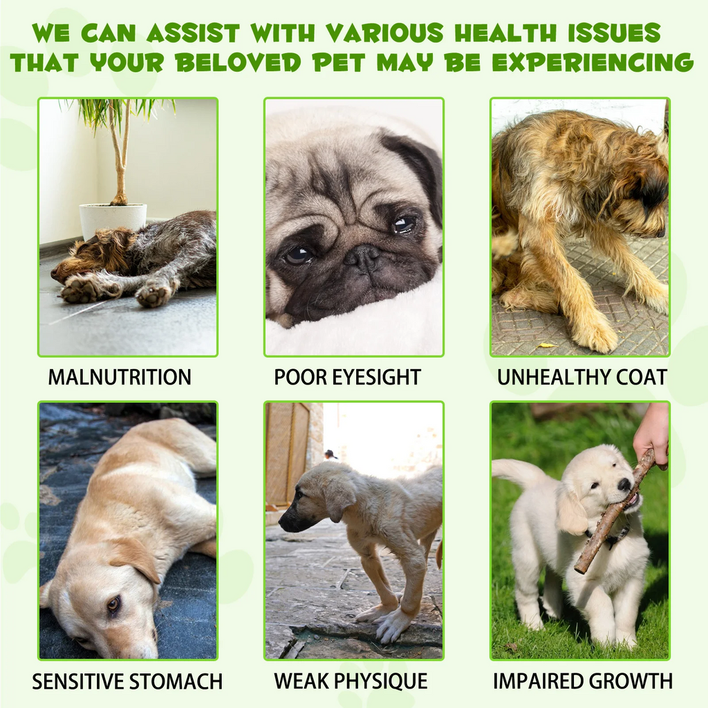 Oimmal® - 3-in-1 Probiotic Drops for Dogs