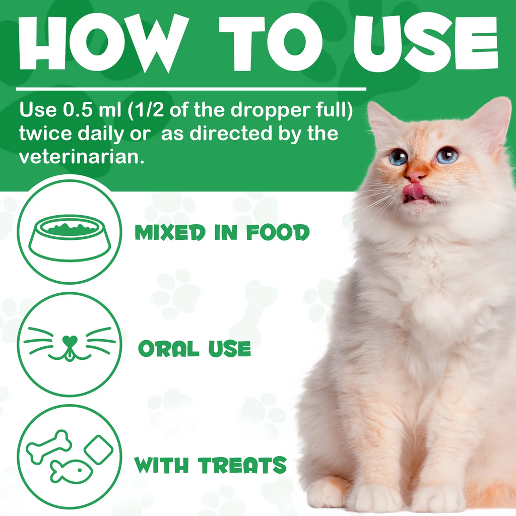 Oimmal® - Kidney Support Drops For Cats
