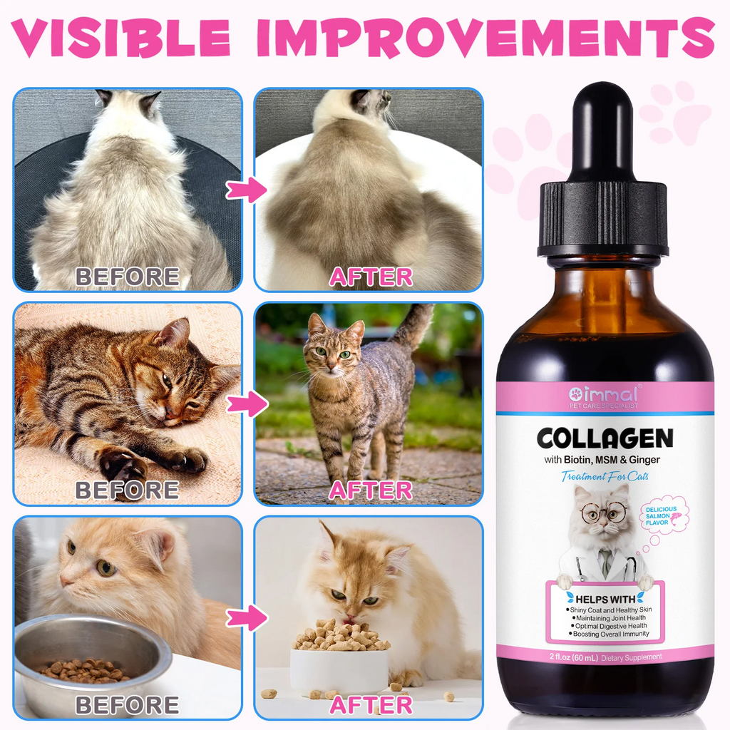 Oimmal® - Collagen Drops For Cats