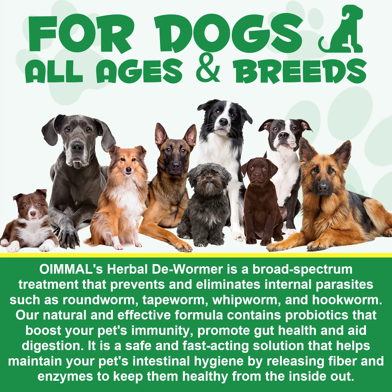 Oimmal® - Herbal De-Wormer Drops for Dogs