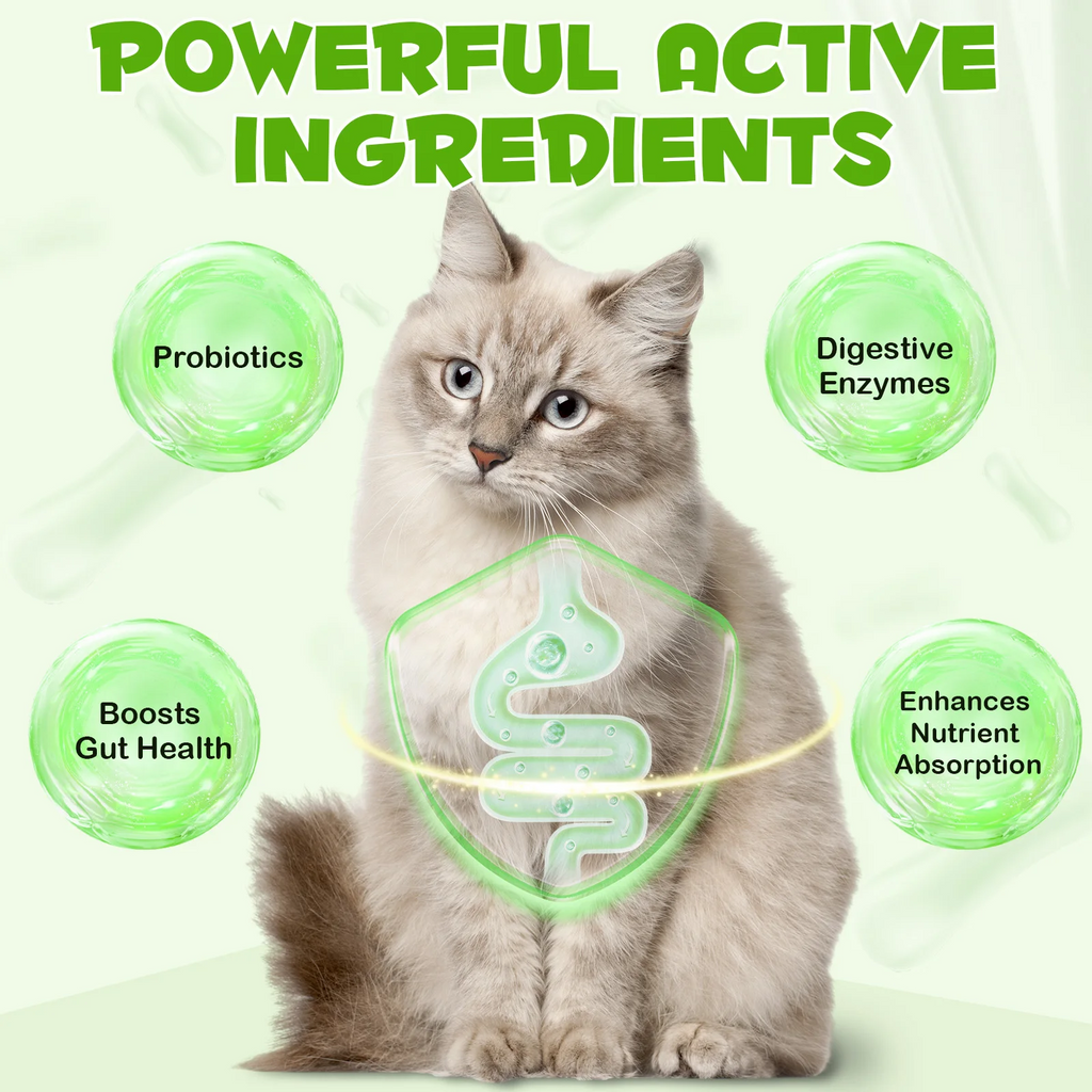 Oimmal® - 3-in-1 Probiotic Drops for Cats