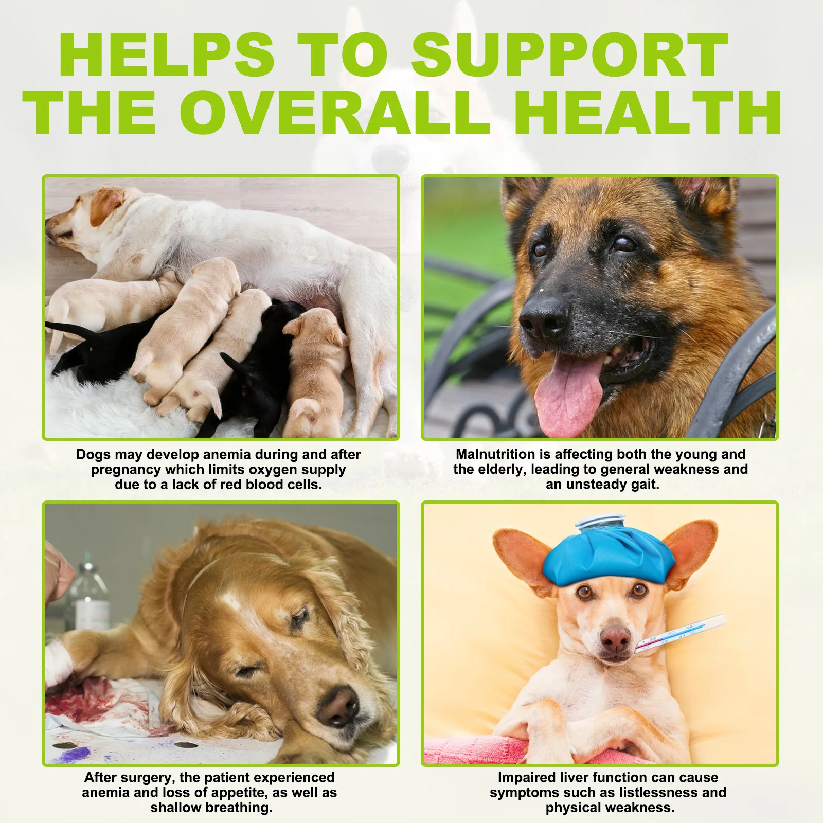 Oimmal® - Milk Thistle Drops For Dogs