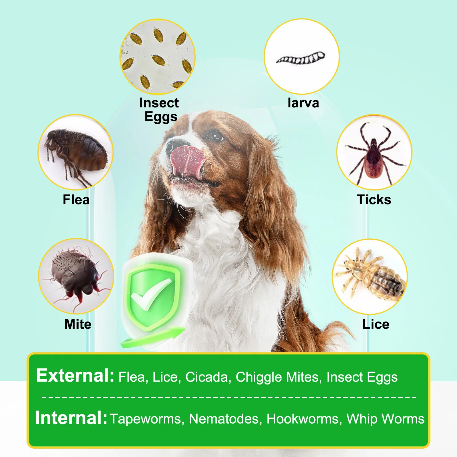 Oimmal® - Flea & Tick Prevention Soft Chews for Dogs