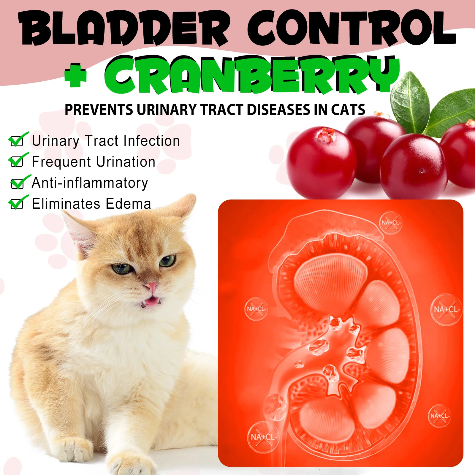Oimmal® - Urinary Tract Care Drops For Cats