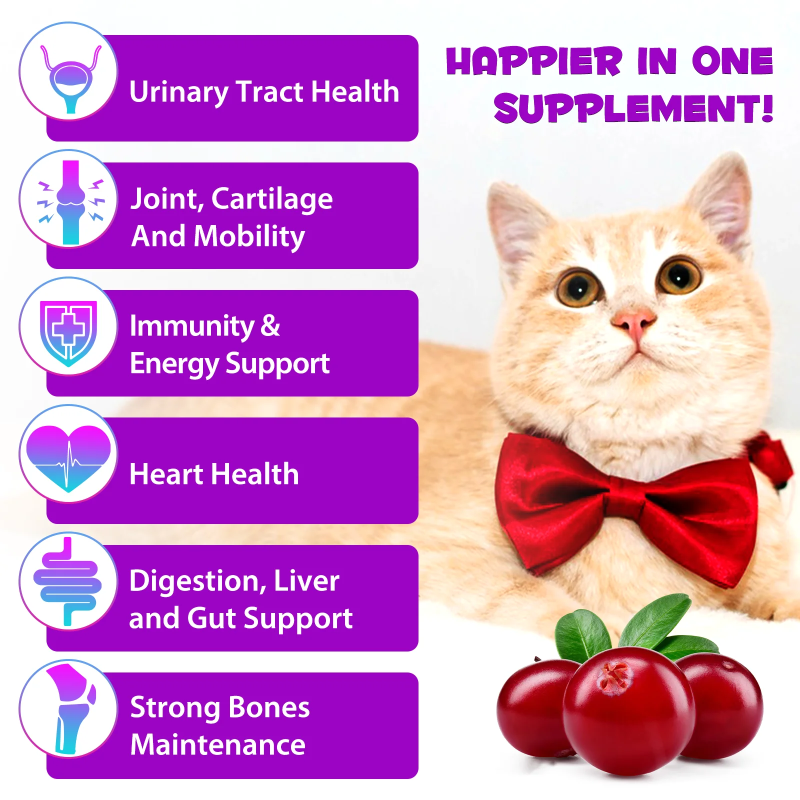 Oimmal® - 15 in 1 Multivitamin Drops For Cats