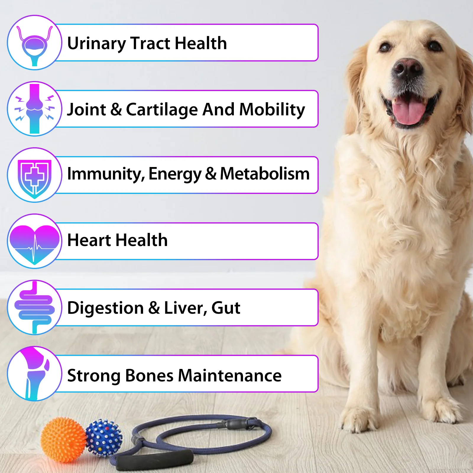Oimmal® - 15 in 1 Multivitamin Drops for Dogs