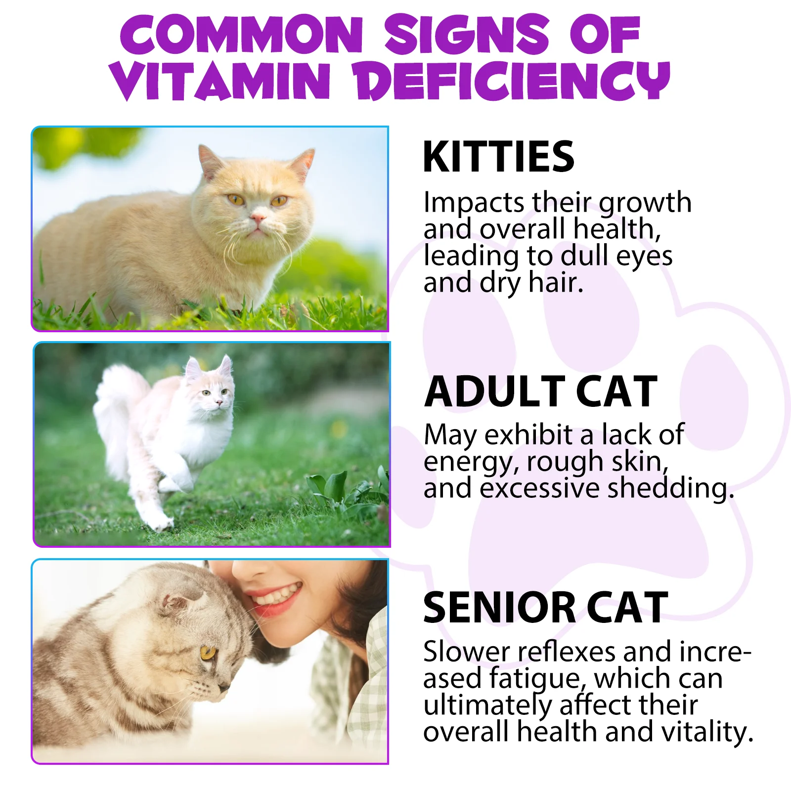 Oimmal® - 15 in 1 Multivitamin Drops For Cats