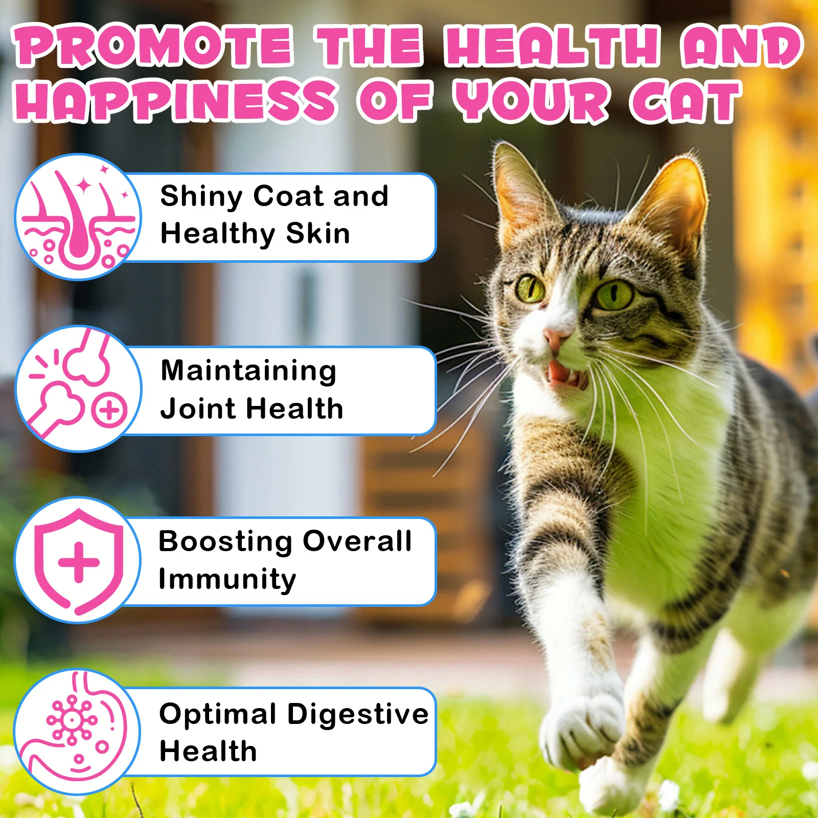 Oimmal® - Collagen Drops For Cats