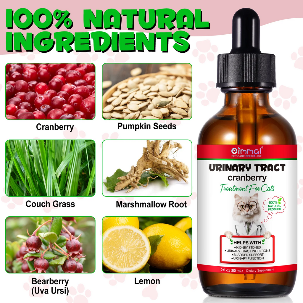 Oimmal® - Urinary Tract Care Drops For Cats