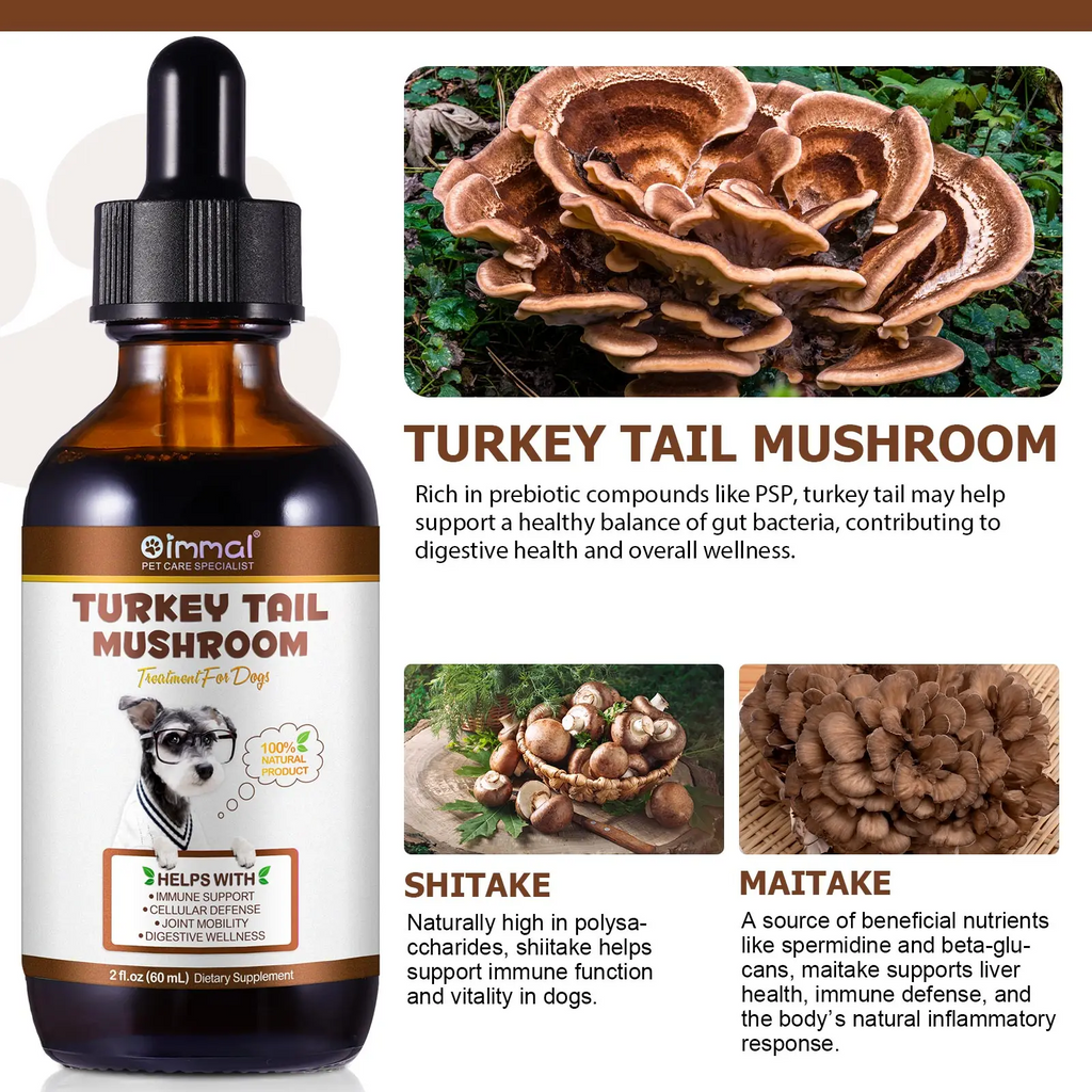 Oimmal® - Turkey Tail Mushrooms Drops For Dogs