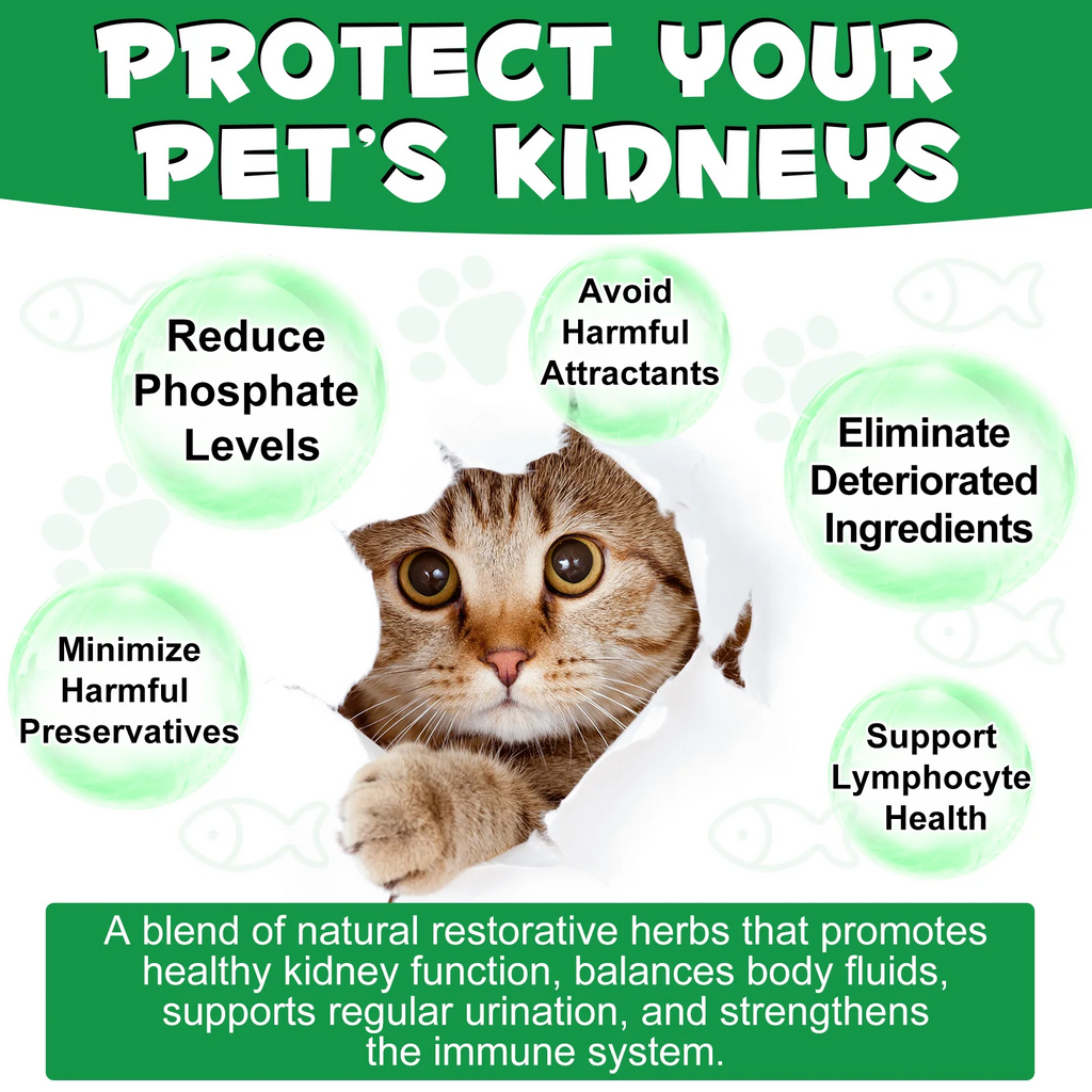 Oimmal® - Kidney Support Drops For Cats