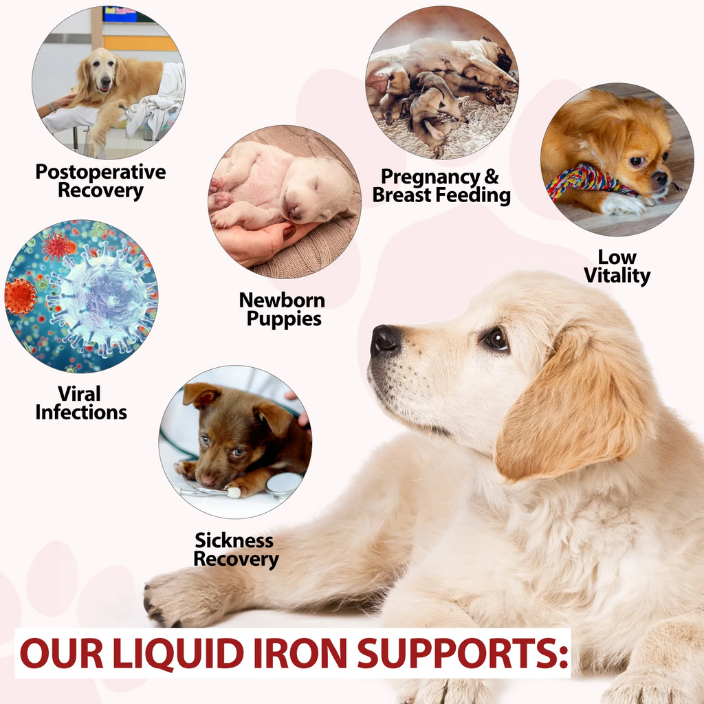 Oimmal® - Liquid Iron Drops for Dogs
