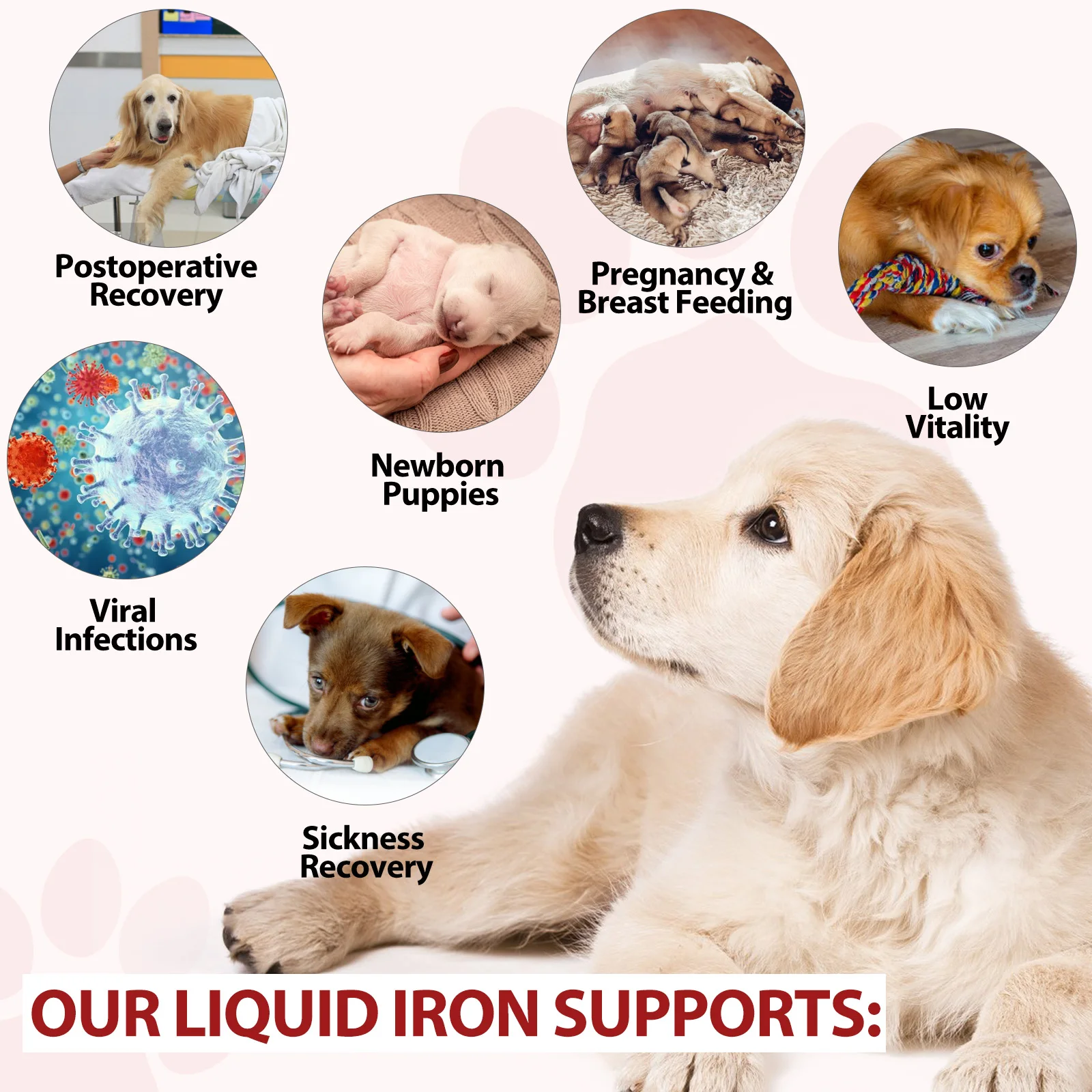 Oimmal® - Liquid Iron Drops for Dogs