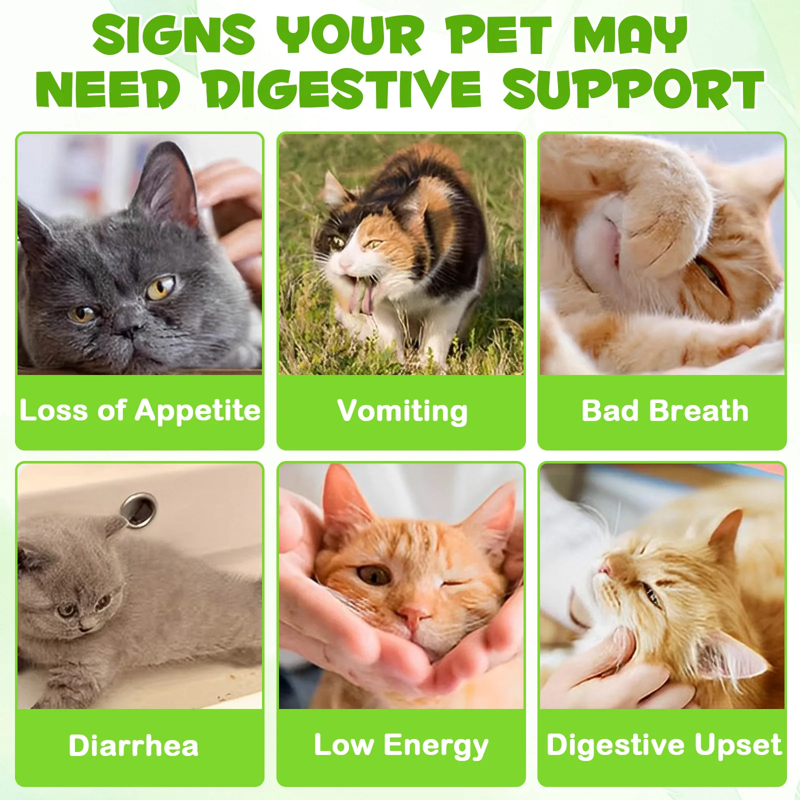 Oimmal® - 3-in-1 Probiotic Drops for Cats