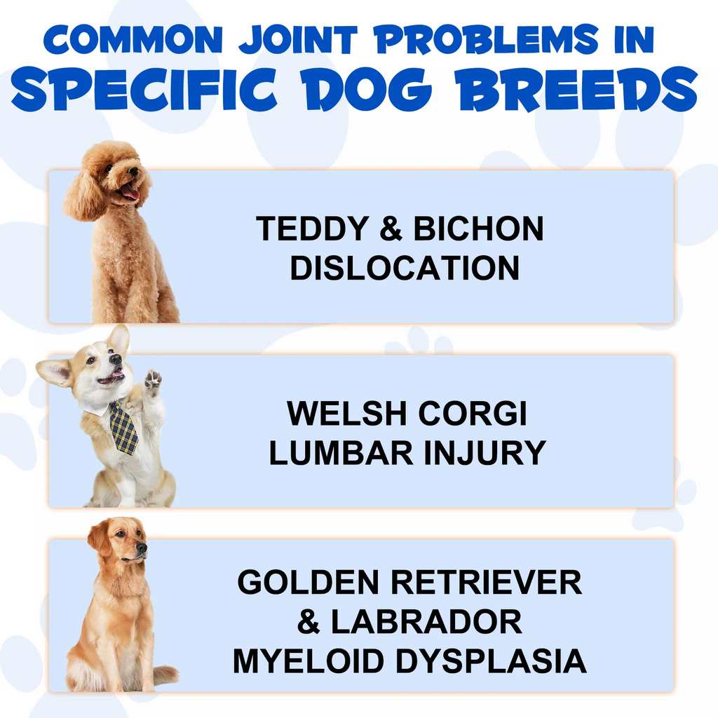 Oimmal® - Joint Aid & Relief Drops for Dogs