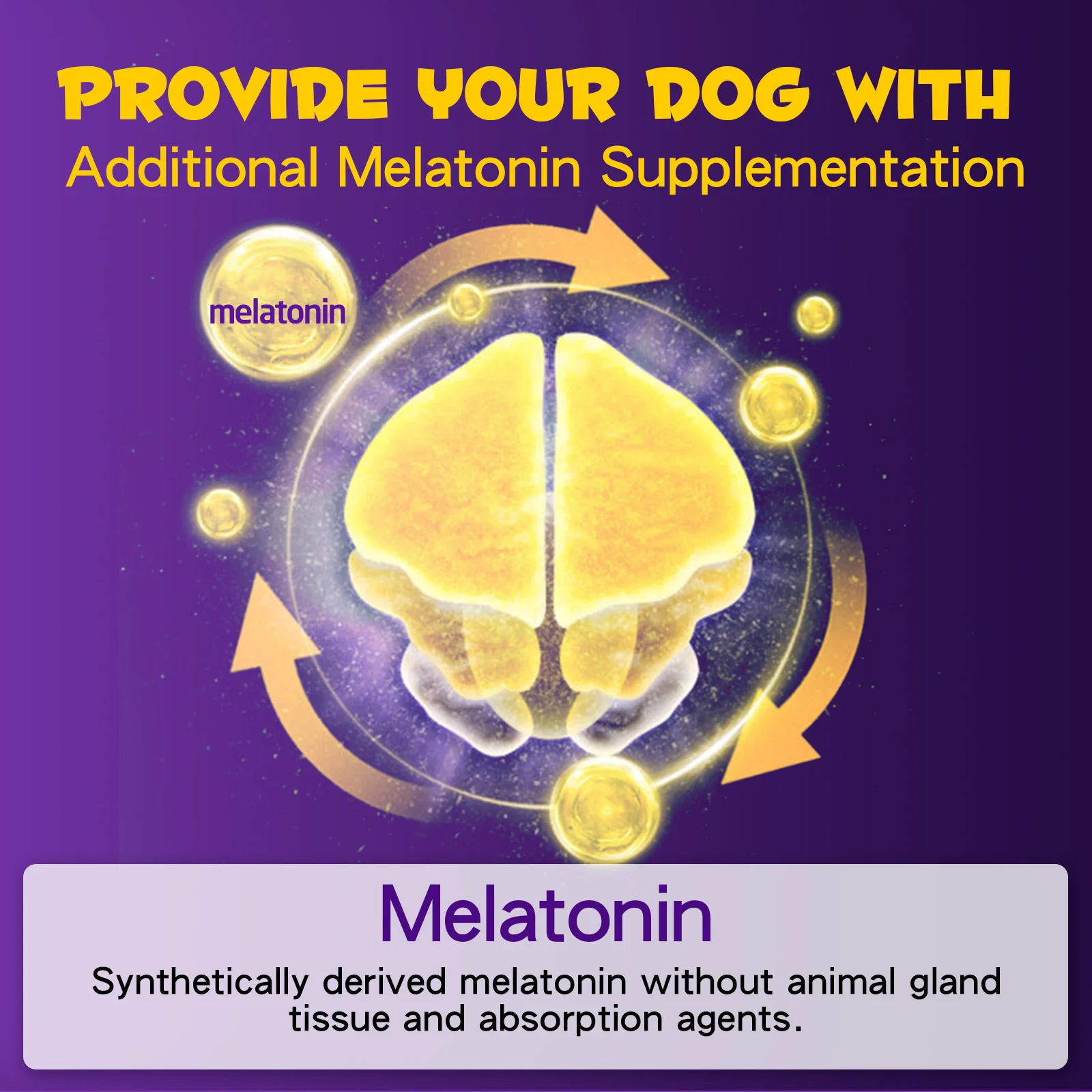 Oimmal® - Sleep Aid Drops For Dogs