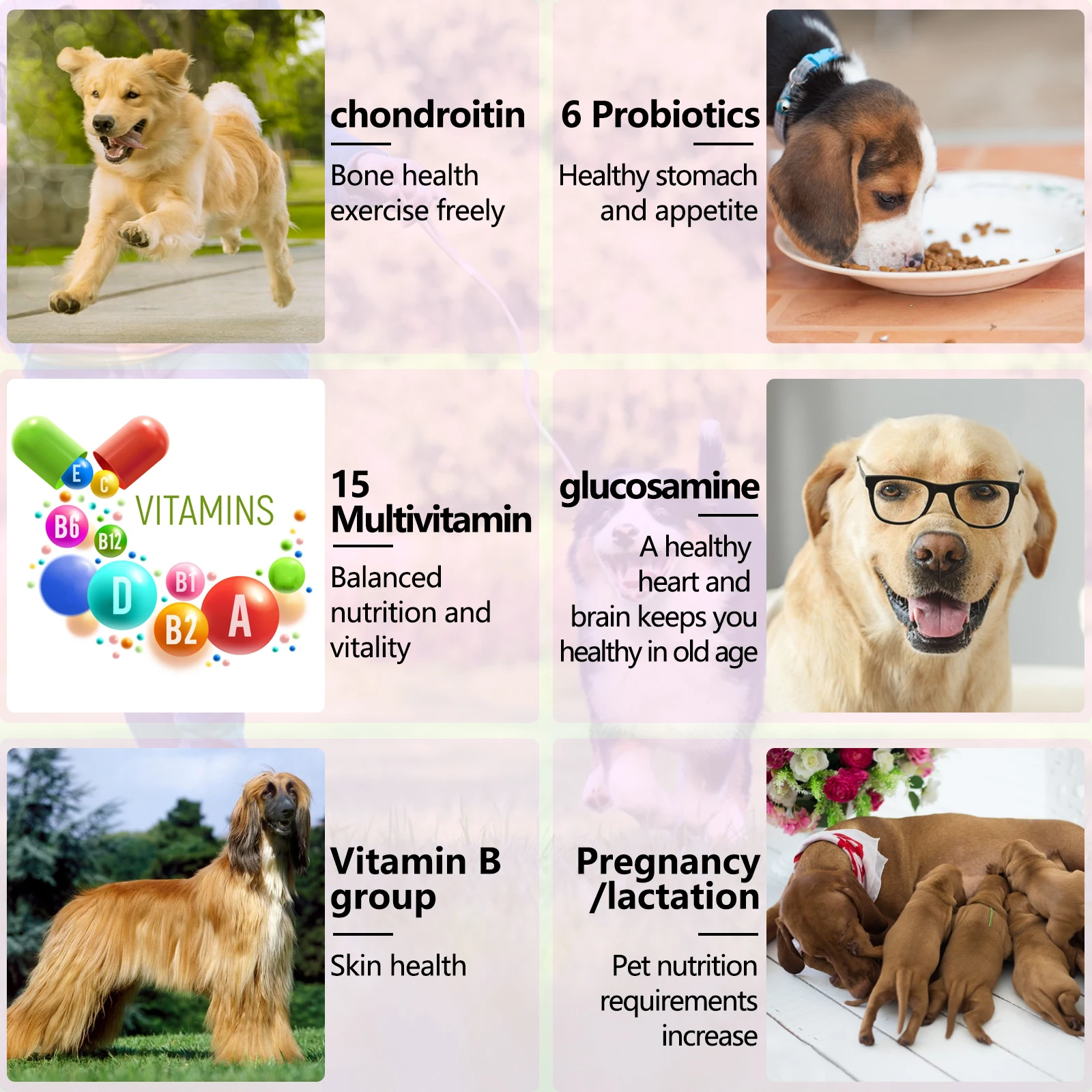 Oimmal® - 15 in 1 Multivitamin Chews For Dogs