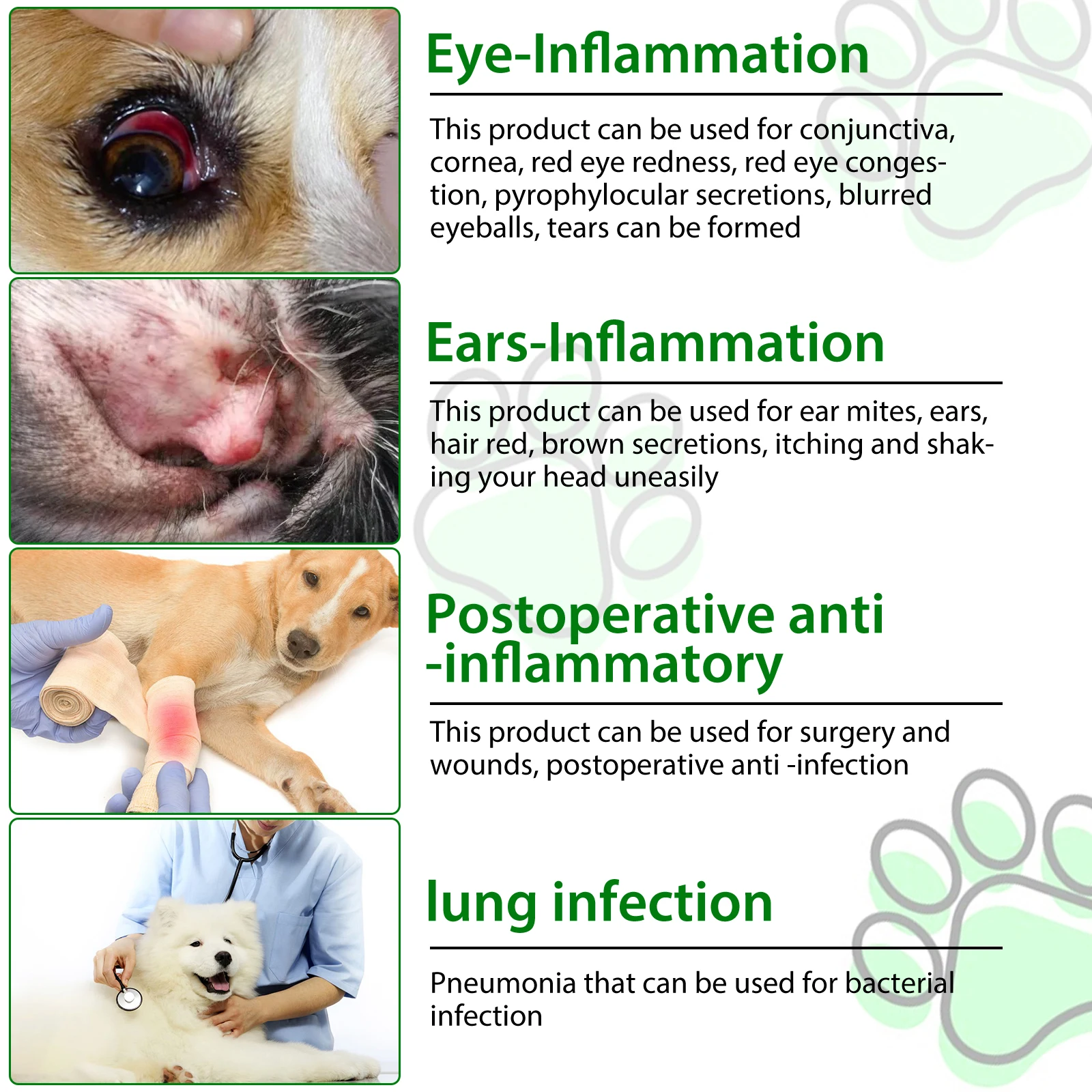 Oimmal® - Natural Antibiotic Drops For Dogs
