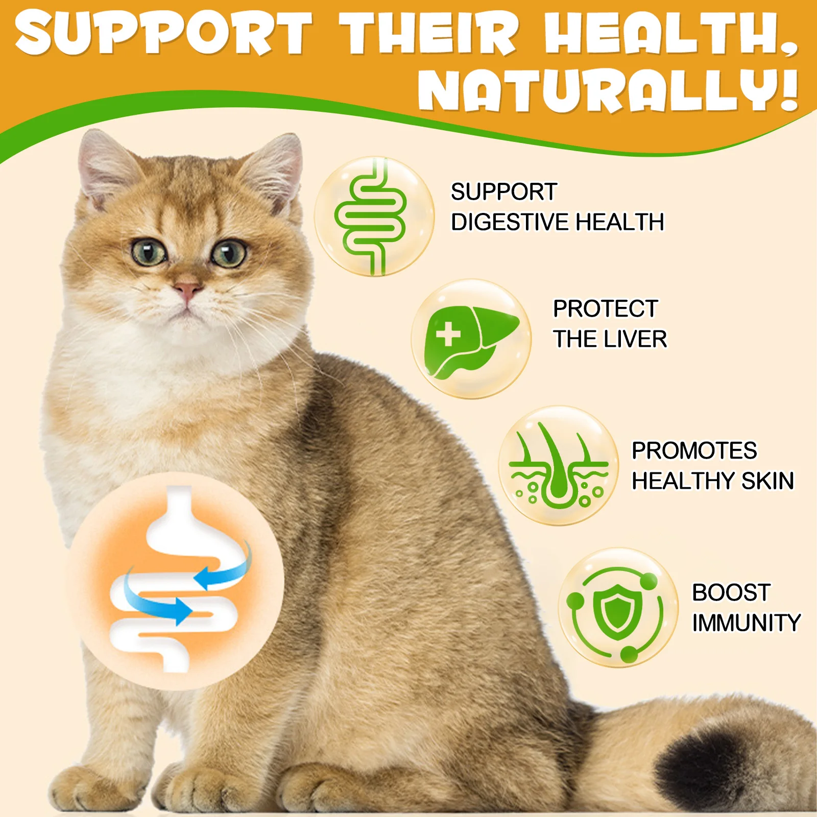 Oimmal® - Allergy & Immune Drops for Cats