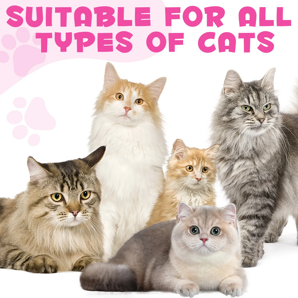 Oimmal® - Collagen Drops For Cats