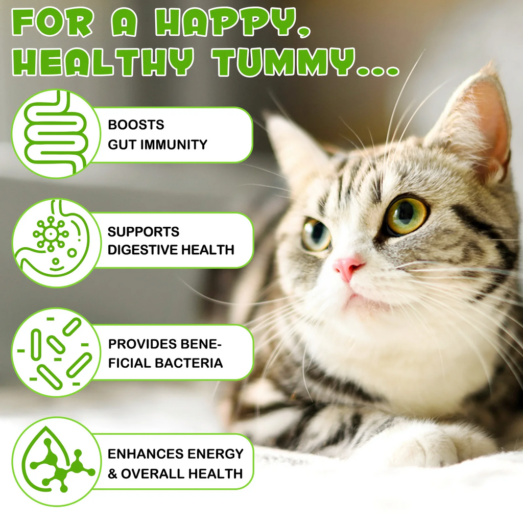 Oimmal® - 3-in-1 Probiotic Drops for Cats