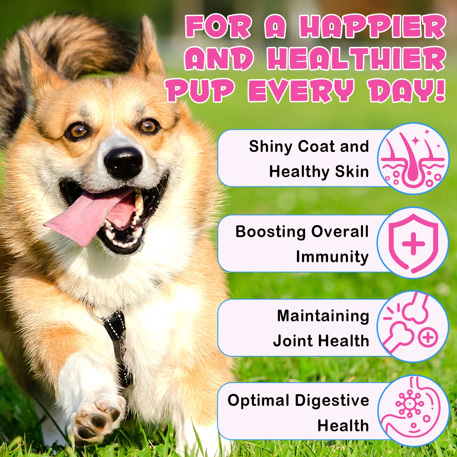 Oimmal® - Collagen Drops for Dogs