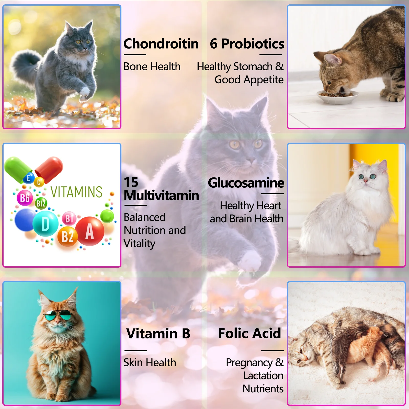 Oimmal® - 15 in 1 Multivitamin Drops For Cats