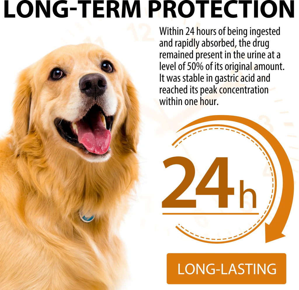 Oimmal® - Quercetin Drops For Dogs