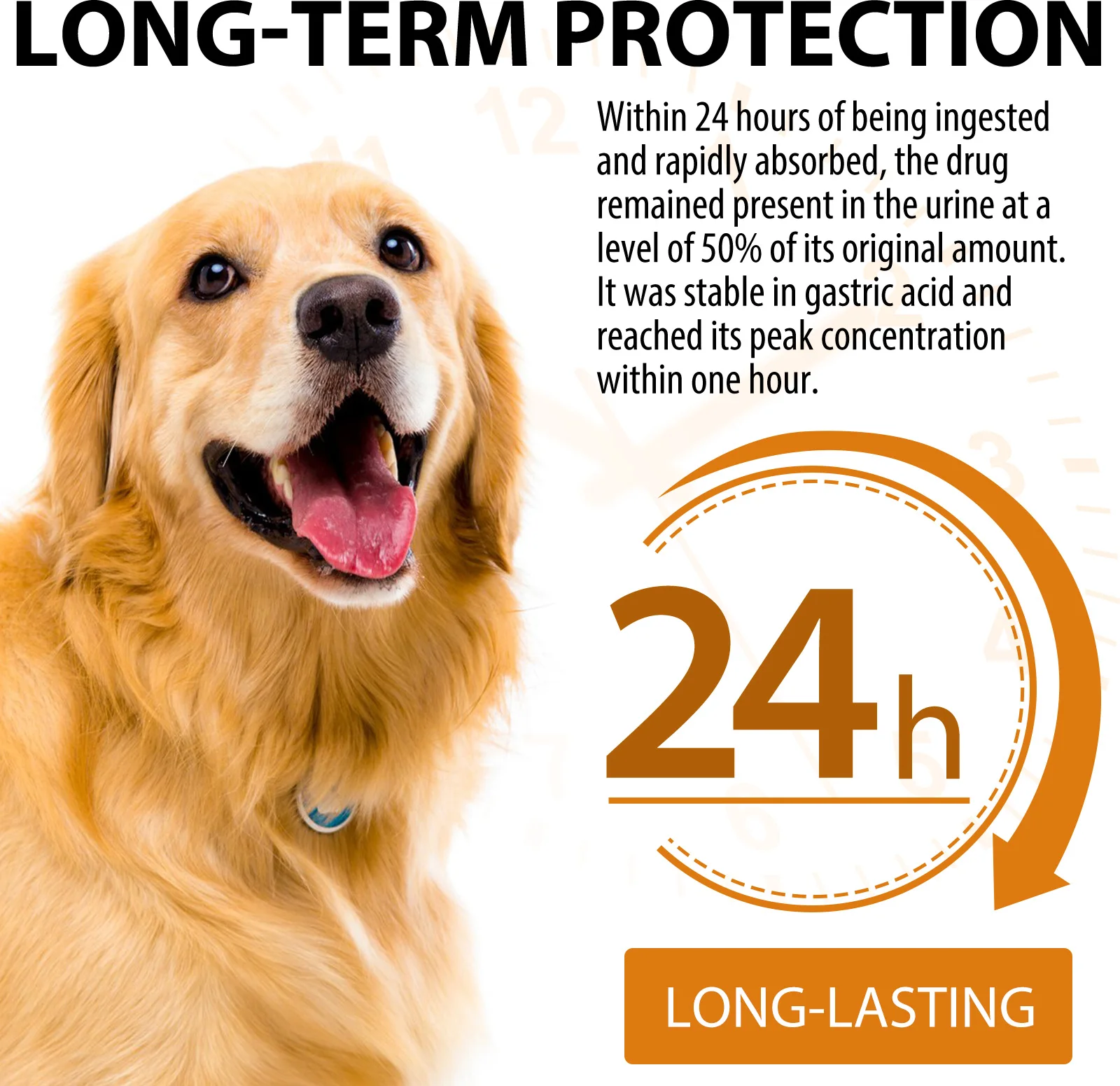 Oimmal® - Quercetin Drops For Dogs