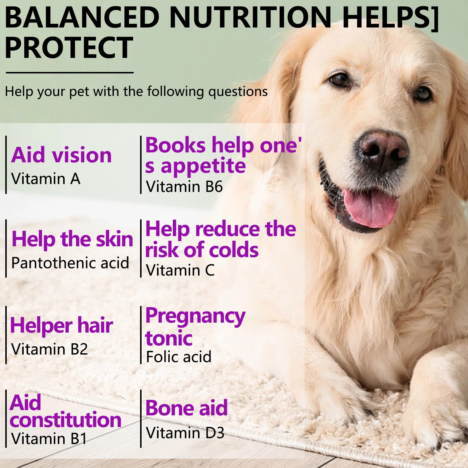 Oimmal® - 15 in 1 Multivitamin Chews For Dogs