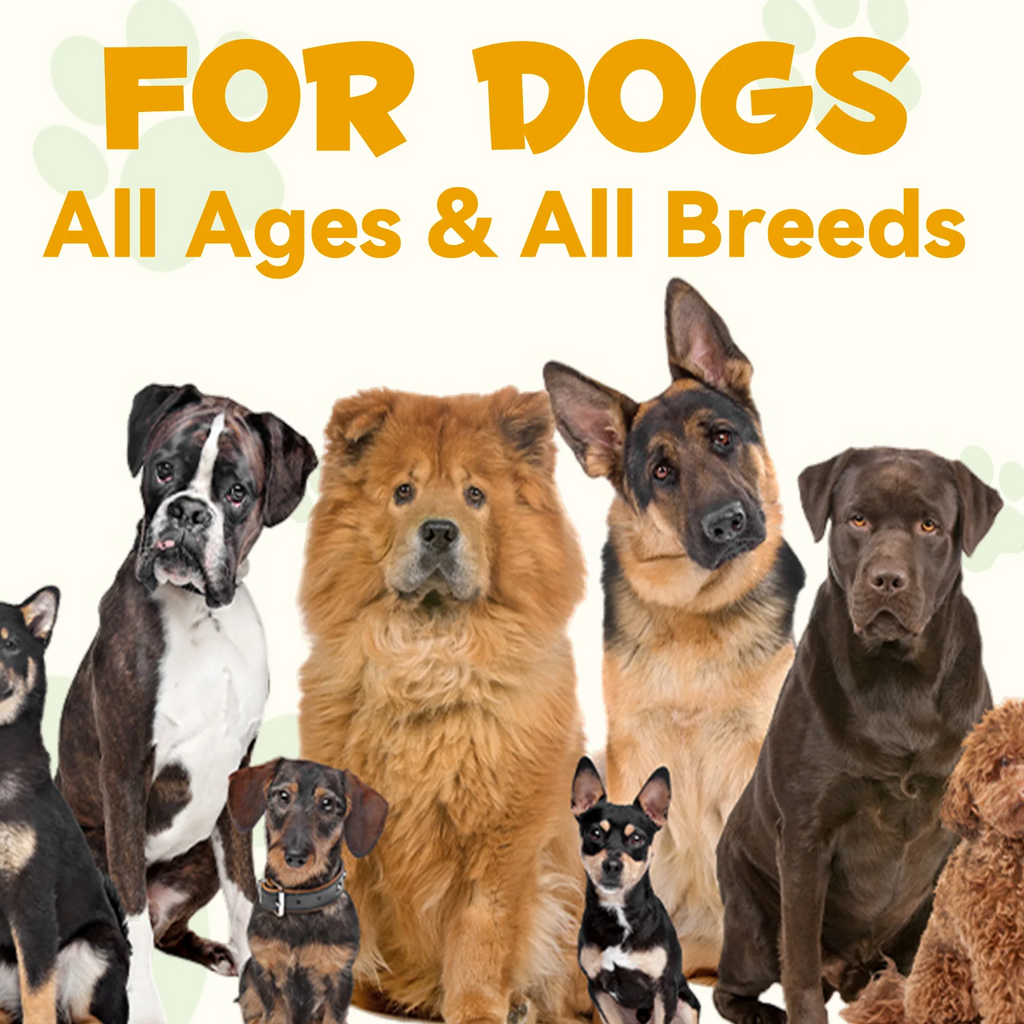 Oimmal® - Allergy & Immune Drops for Dogs