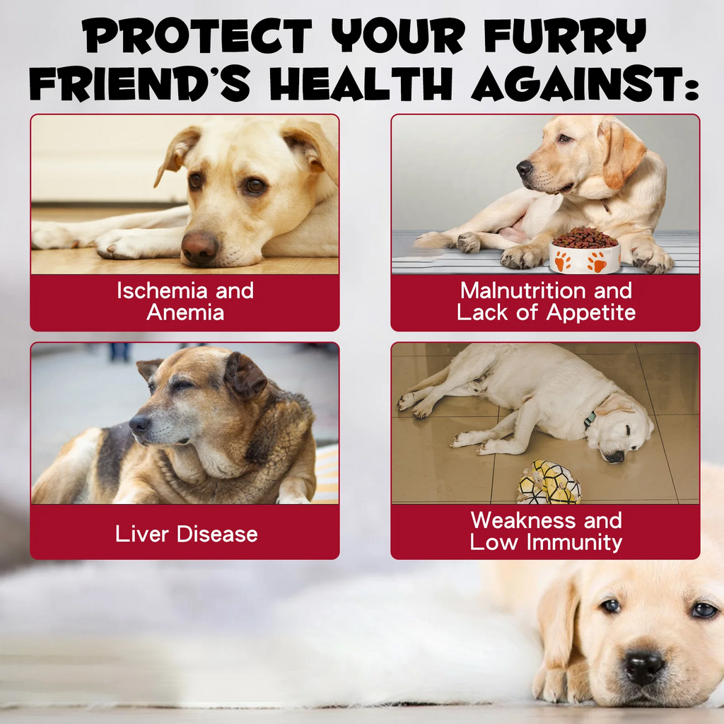 Oimmal® - Liquid Iron Drops for Dogs