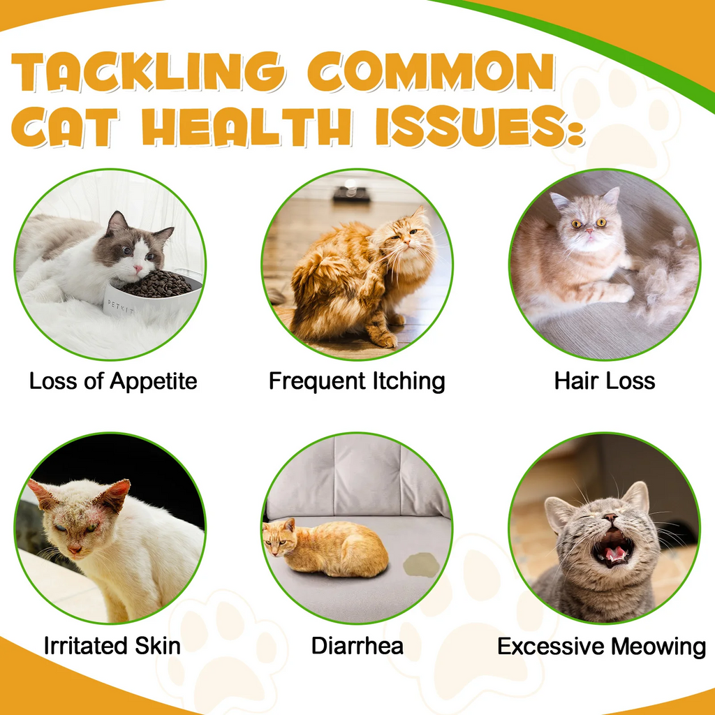 Oimmal® - Allergy & Immune Drops for Cats