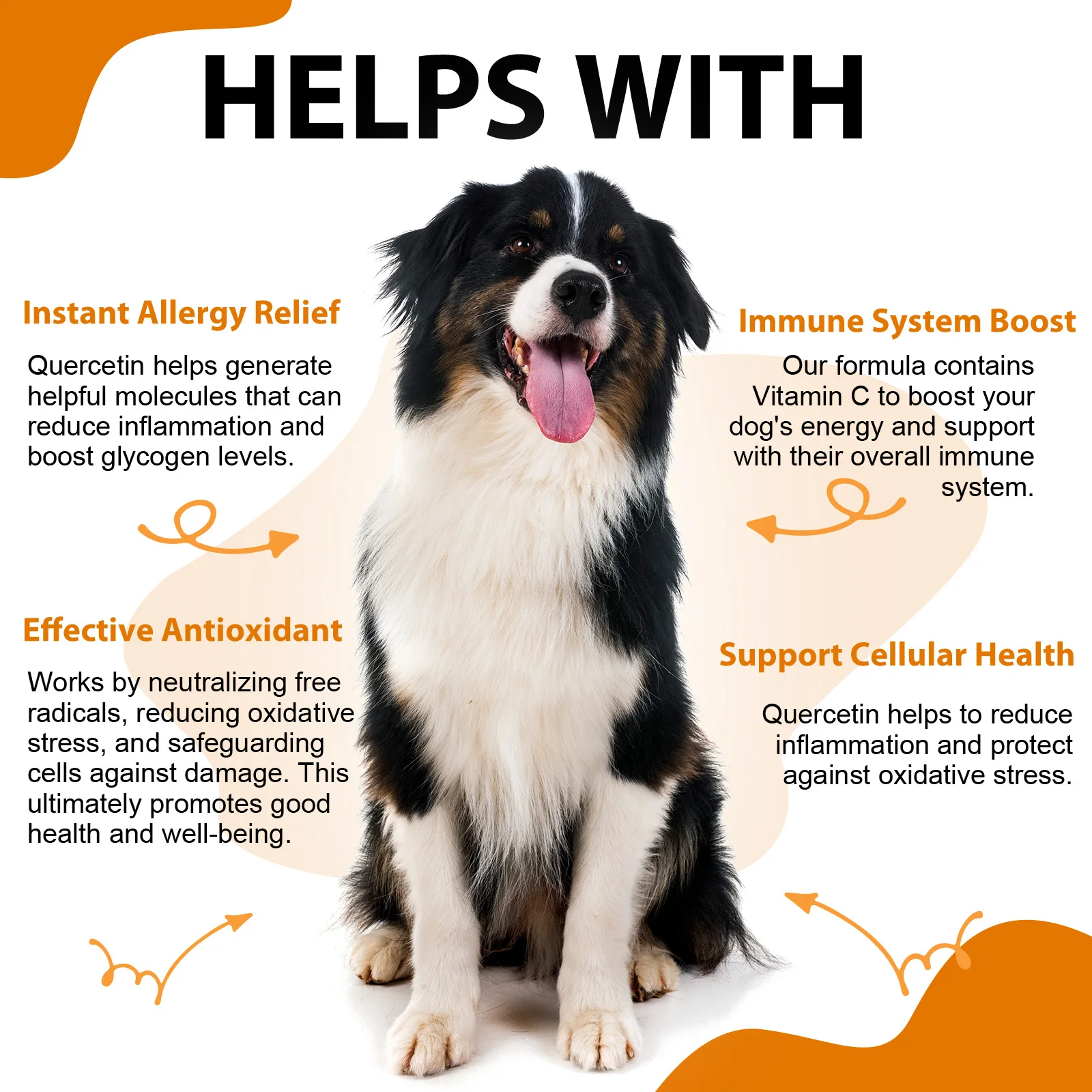 Oimmal® - Quercetin Drops For Dogs