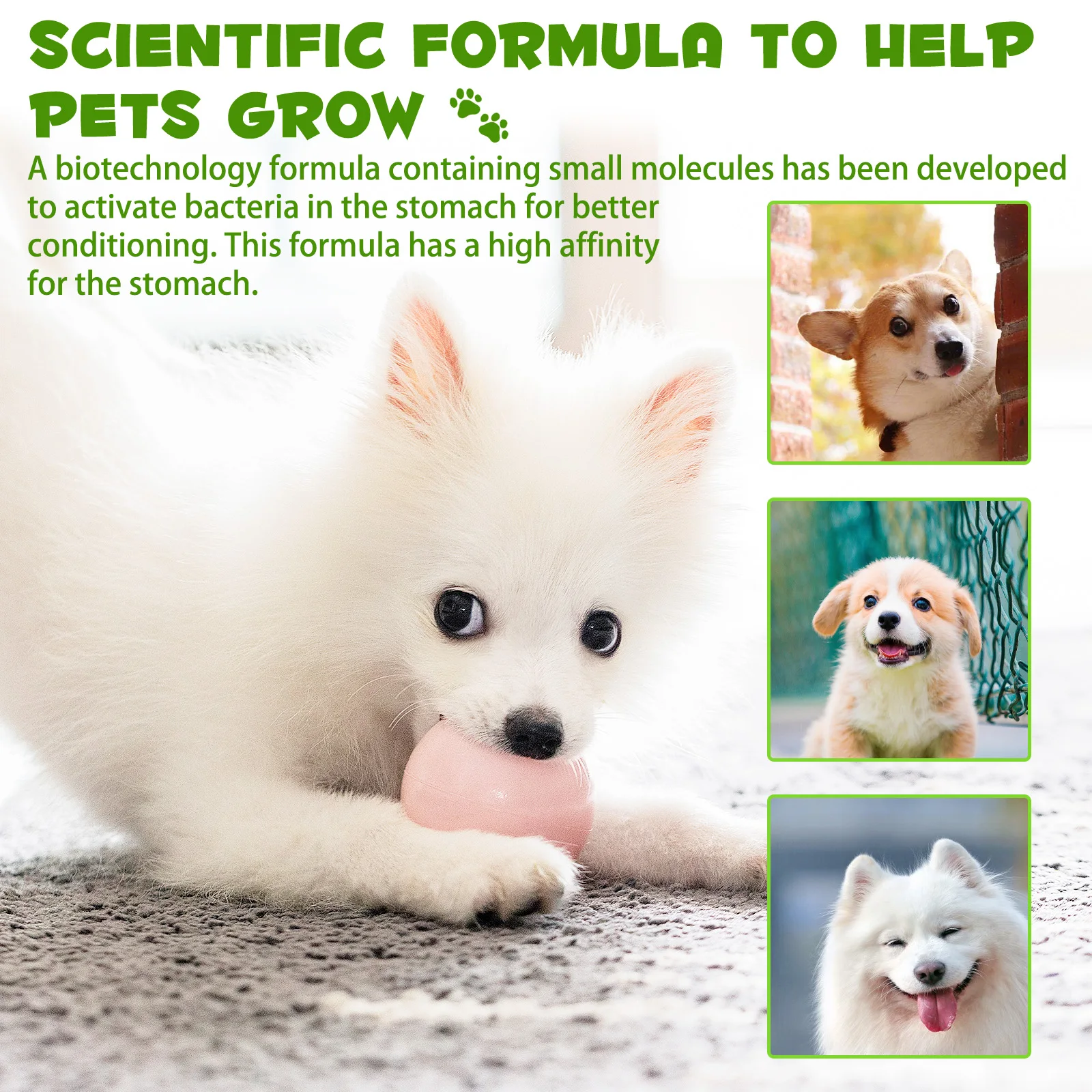 Oimmal® - 3-in-1 Probiotic Drops for Dogs