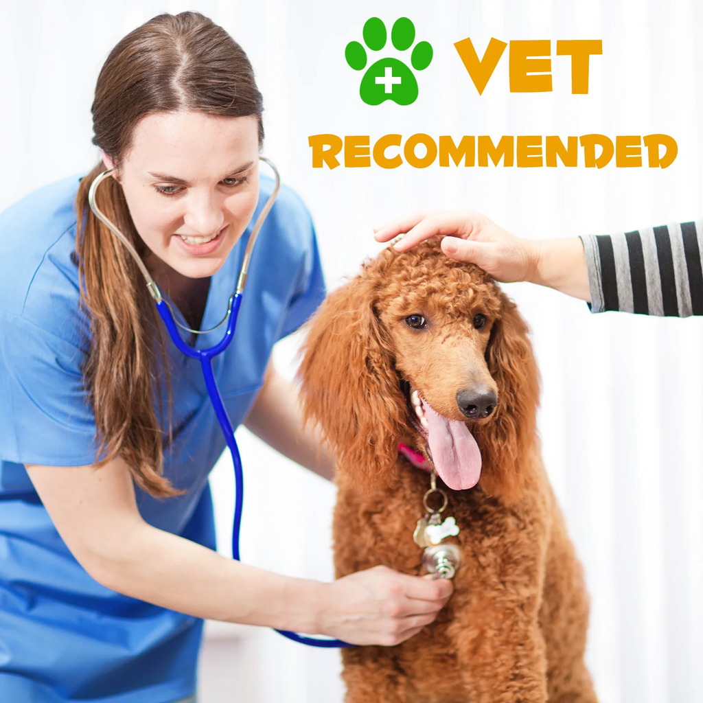 Oimmal® - Allergy & Immune Drops for Dogs