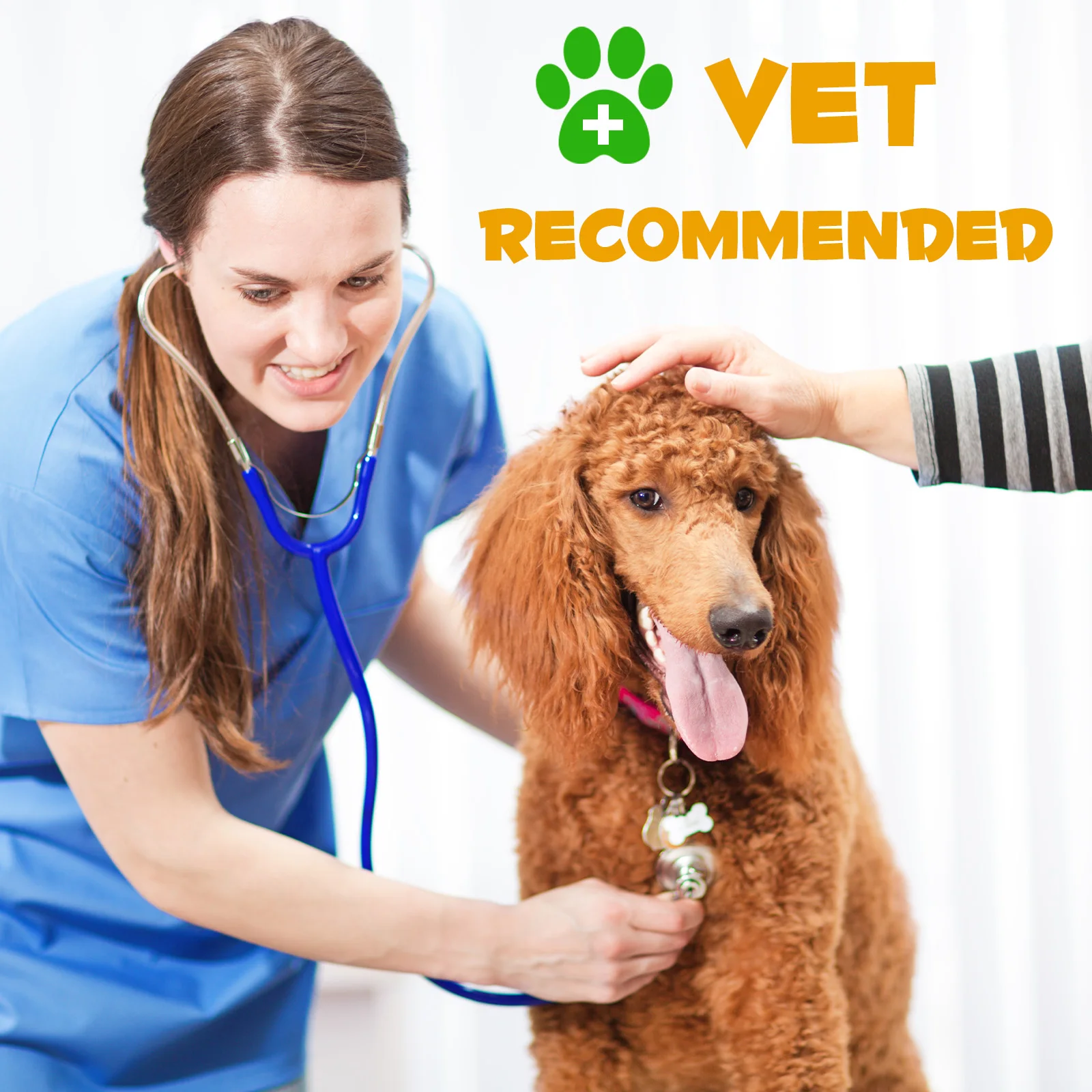 Oimmal® - Allergy & Immune Drops for Dogs