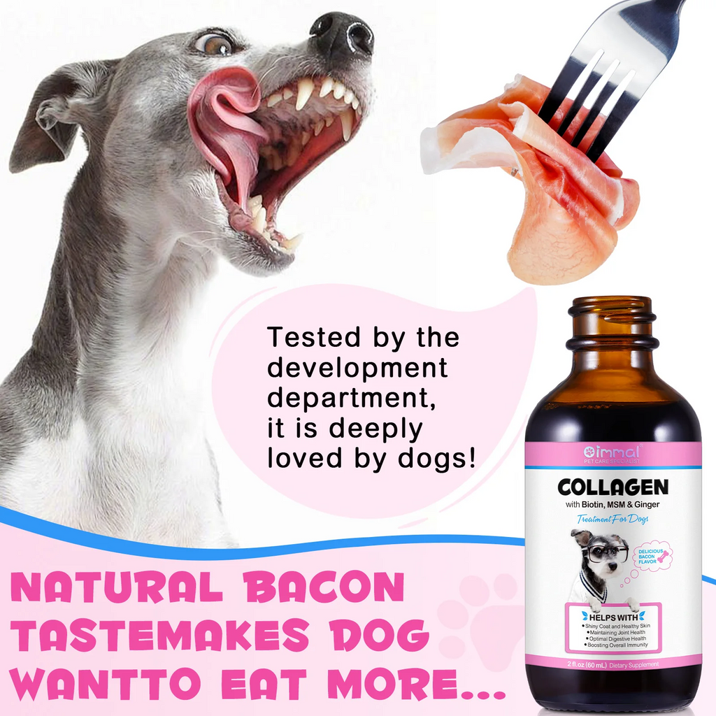 Oimmal® - Collagen Drops for Dogs