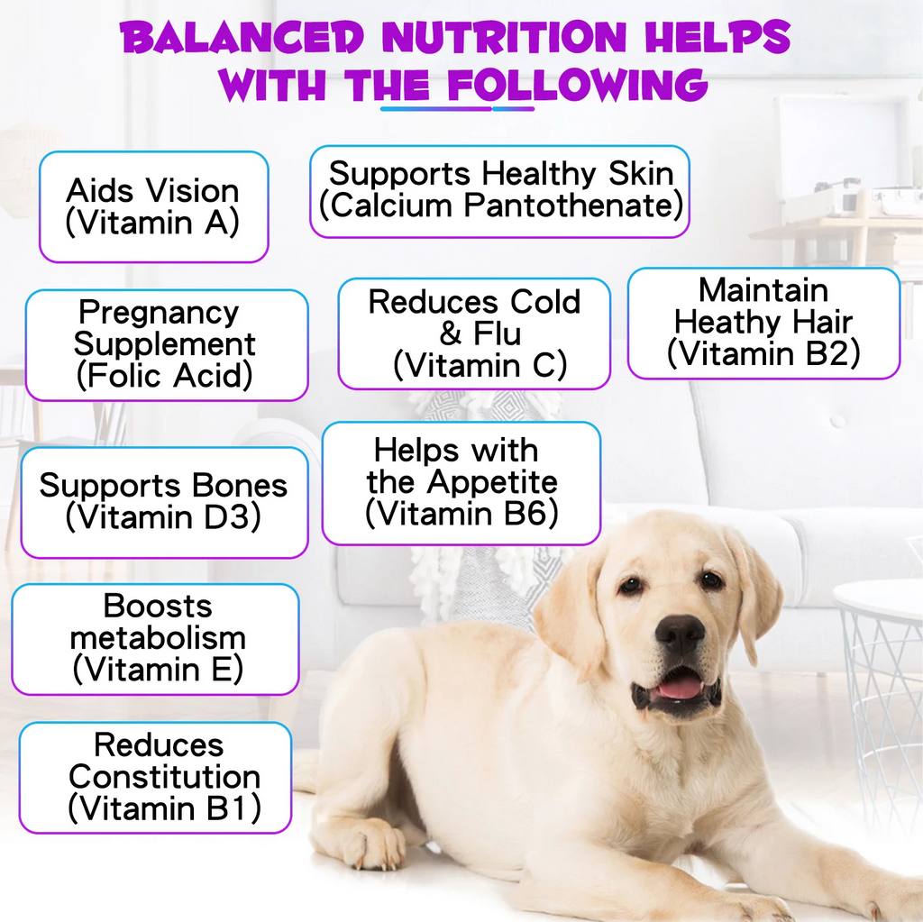 Oimmal® - 15 in 1 Multivitamin Drops for Dogs