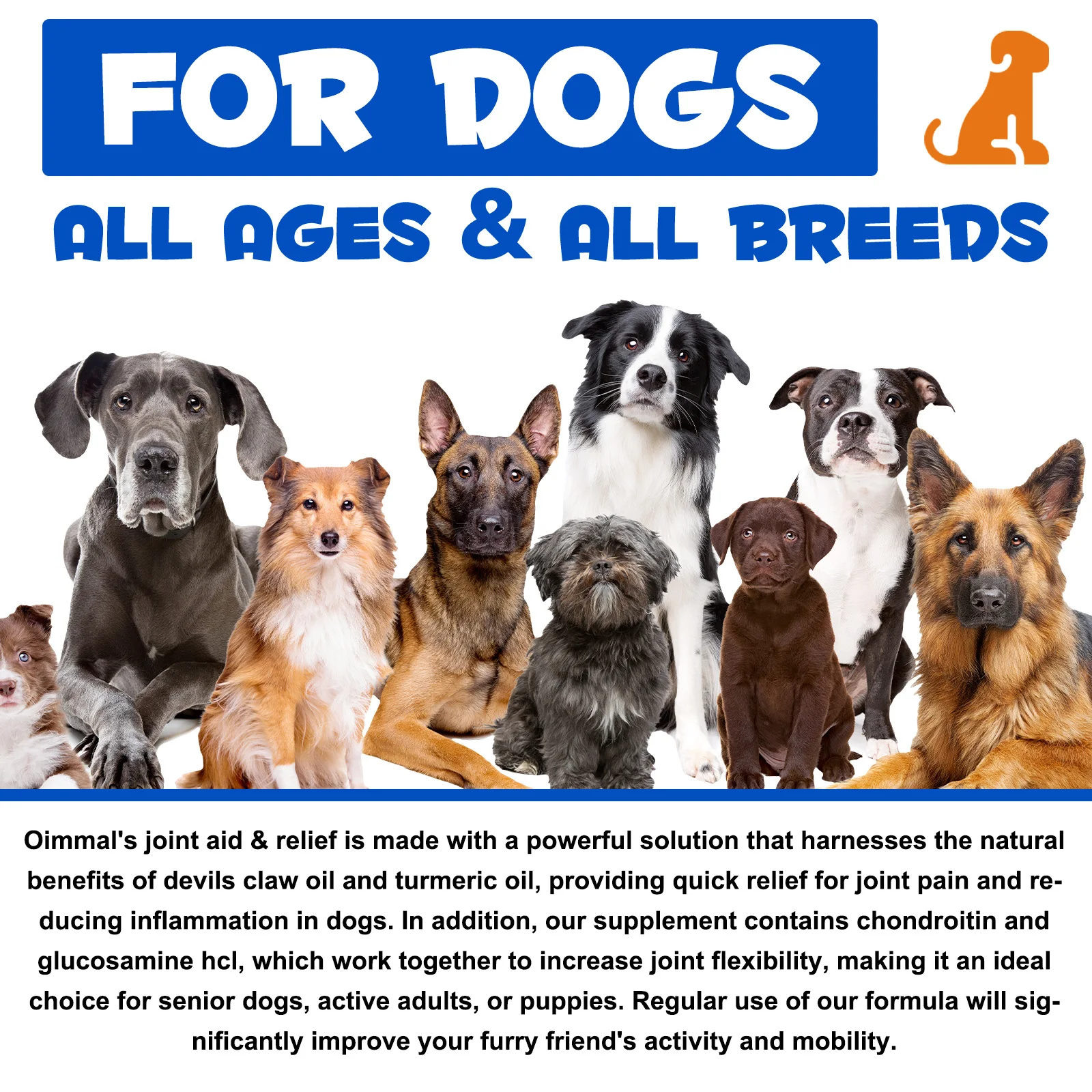 Oimmal® - Joint Aid & Relief Drops for Dogs