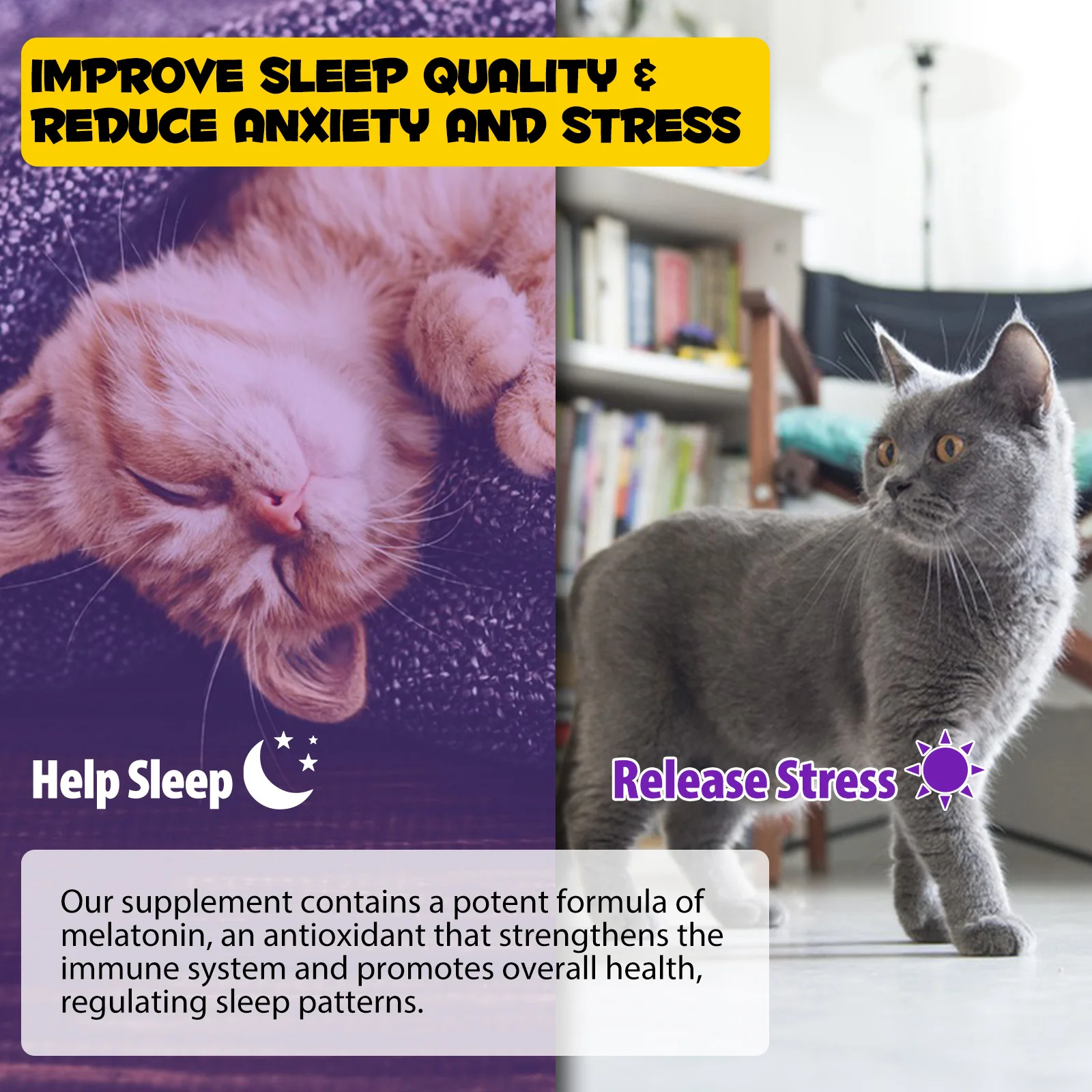 Oimmal® - Sleep Aid Drops For Cats