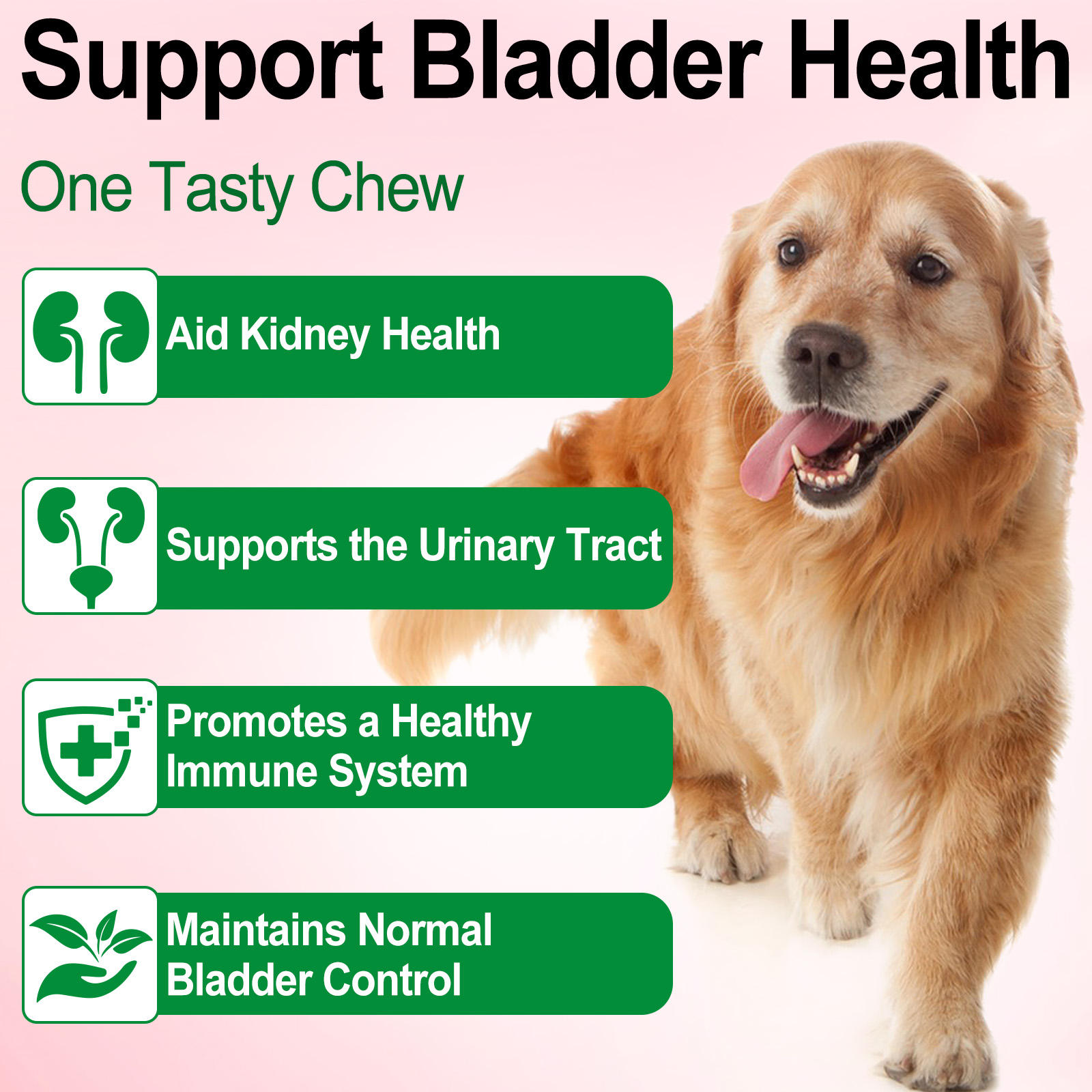 Oimmal® - Urinary Tract Care Drops for Dogs